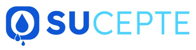 Ekoweb Logo